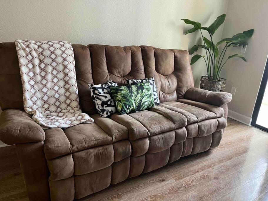 Apartmán Blooming Journey In Tampa Bay! Exteriér fotografie